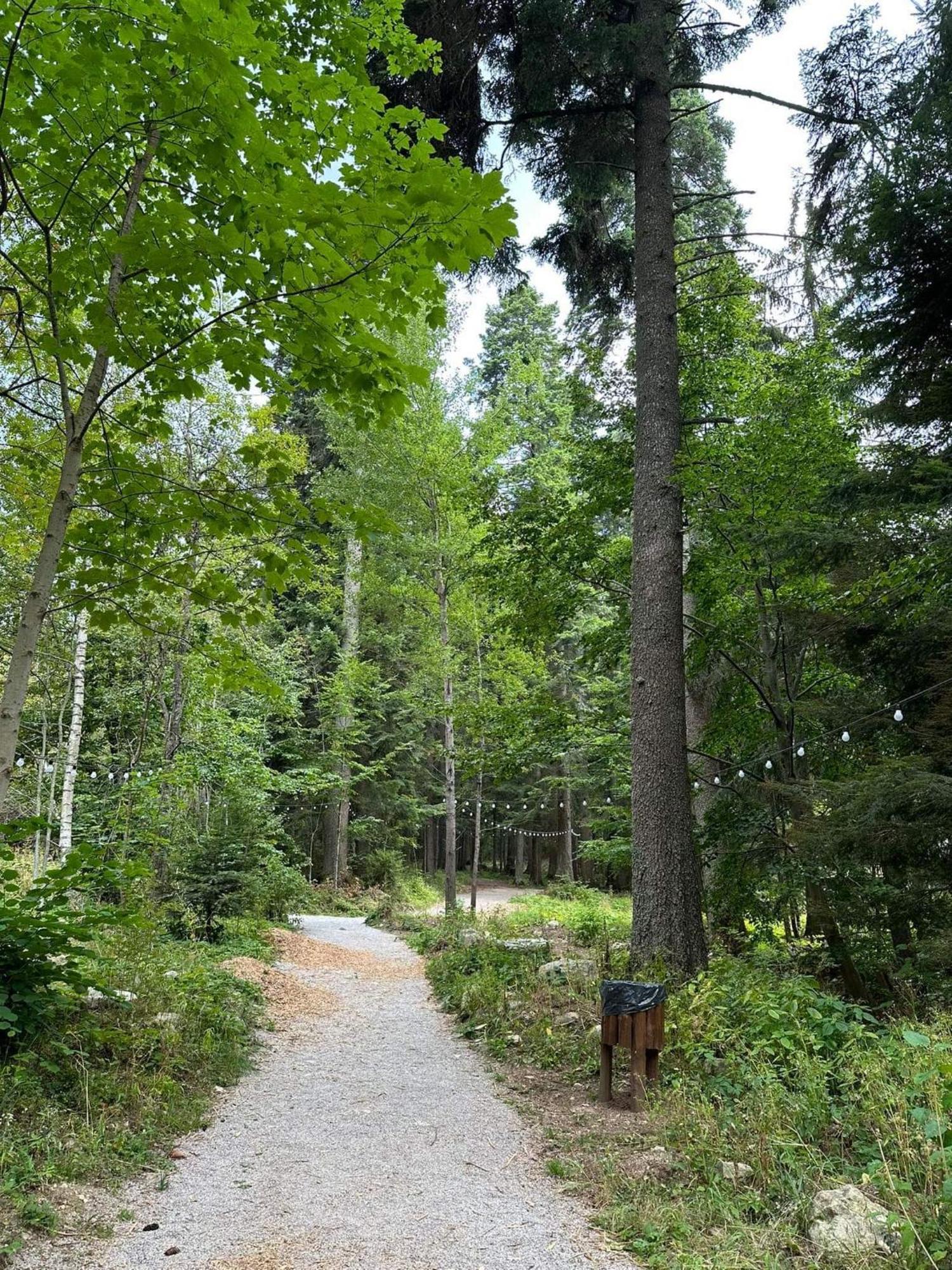 Cozy Riverside Pine Studio E5 Borovets Luaran gambar